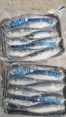 Blue Label Herring